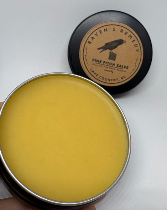 Wildcrafted Pine Pitch Salve — Ancestral Healing for Modern Skin