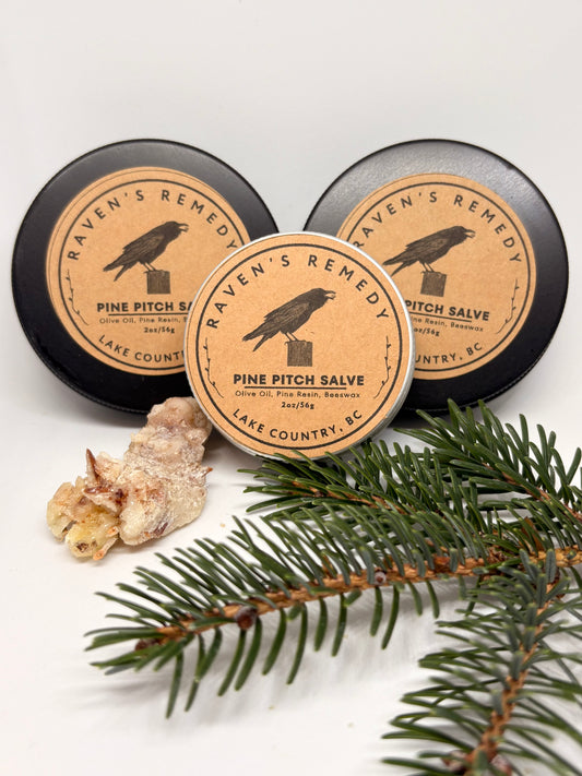 Wildcrafted Pine Pitch Salve — Ancestral Healing for Modern Skin