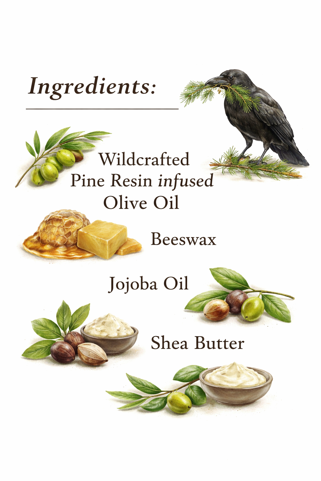 List of ingredients including wildcrafted pine resin infused olive oil, beeswax, jojoba oil, and shea butter on a white background.